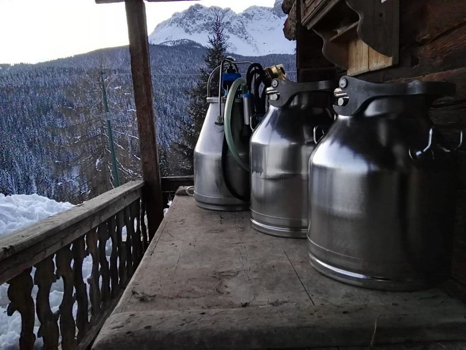 Casa vacanze Dolomiti comelico